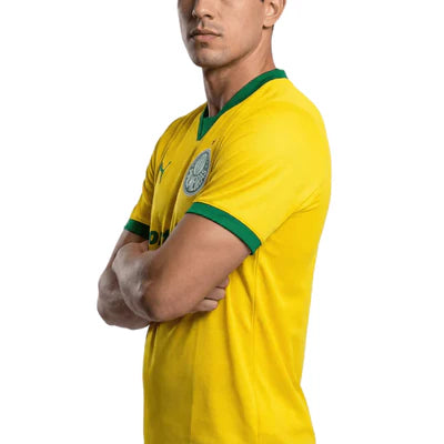 Camisa Palmeiras III 2025/26