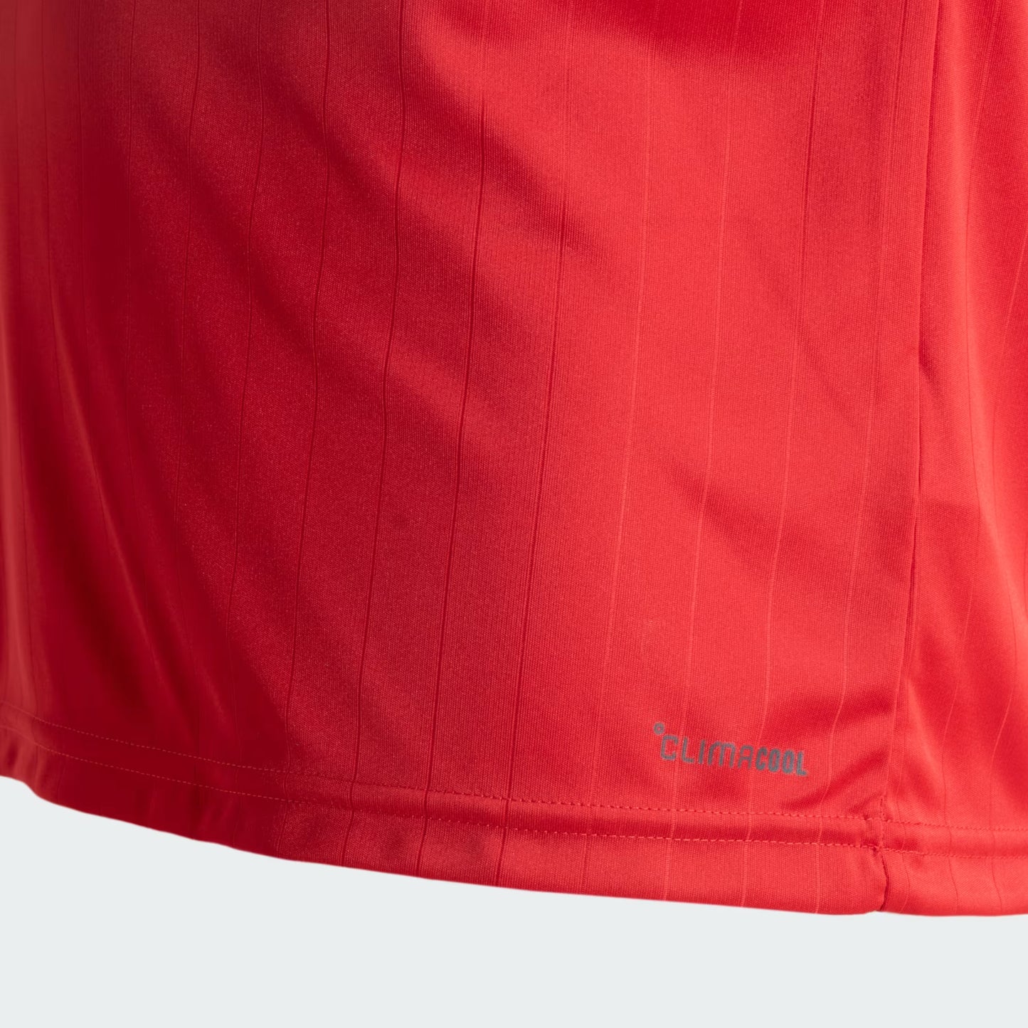 Camisa Internacional Torcedor 2026/27 I