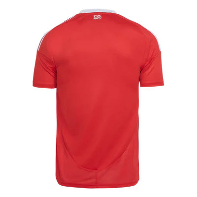 Camisa Internacional I 2025/26