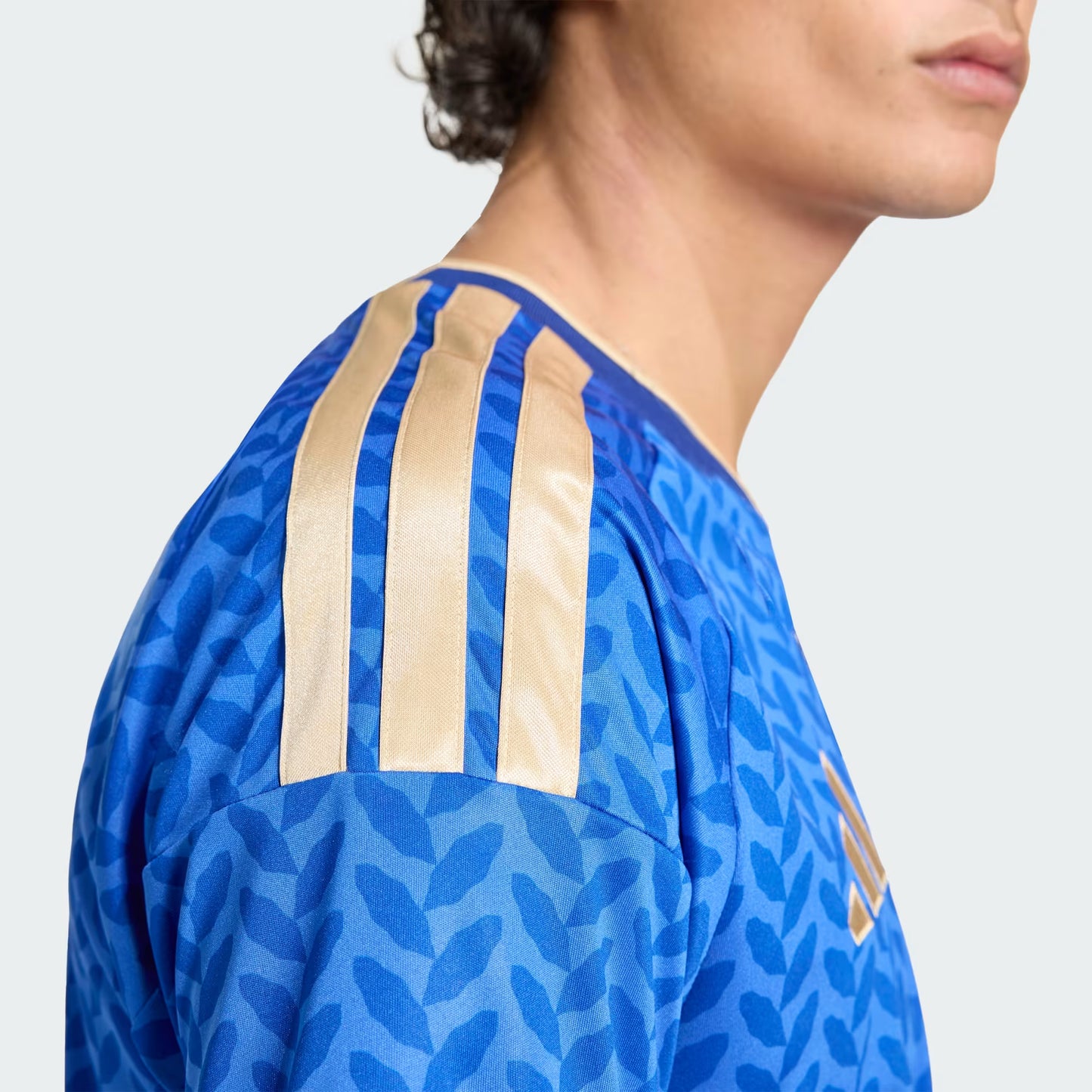 Camisa Itália FWC 26/27 I