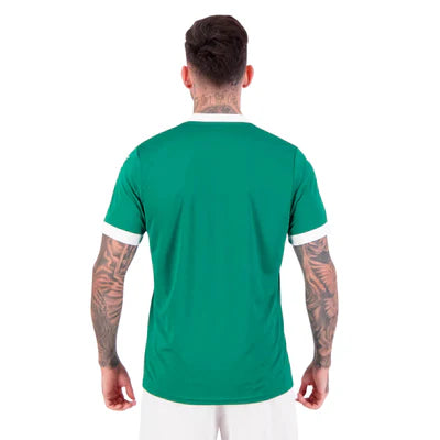Camisa Palmeiras 2025/26 I