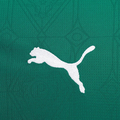 Camisa Palmeiras 2025/26 I