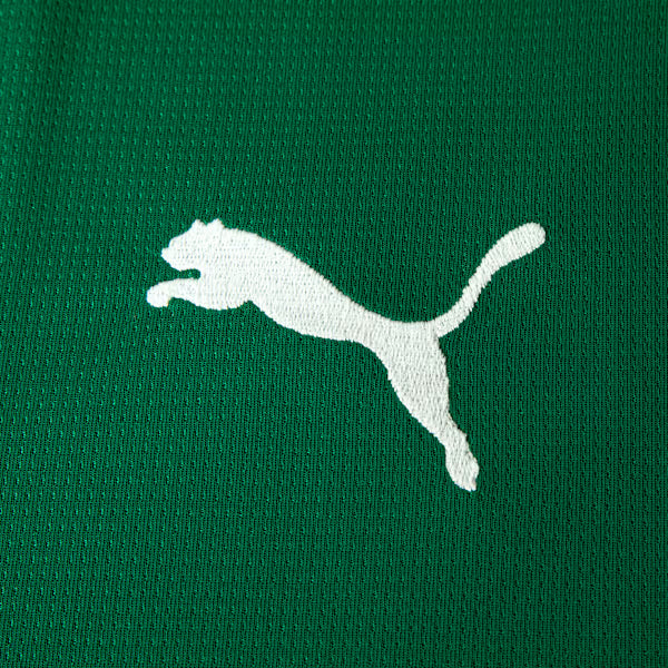 Camisa Palmeiras Torcedor 2026/27 I